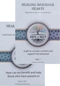 Healing Wounded Hearts book cover